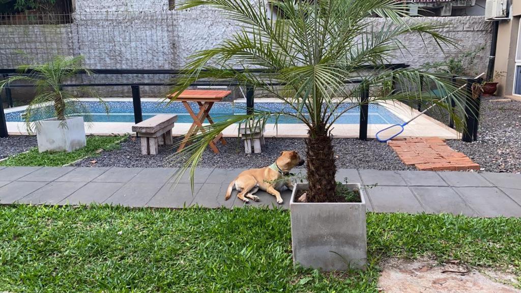 Los Lirios Puerto Iguazú Esterno foto